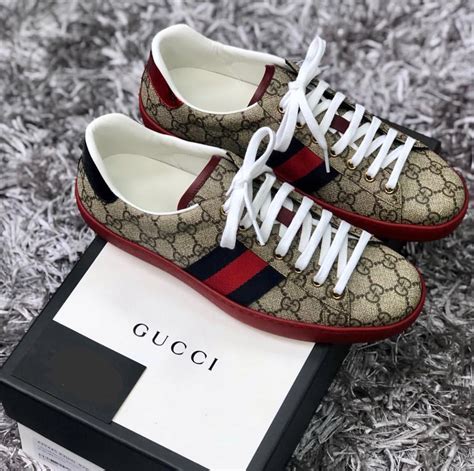 tenis gucci precio mujer